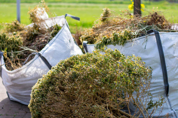 Best Local Junk Hauling  in Minorca, LA